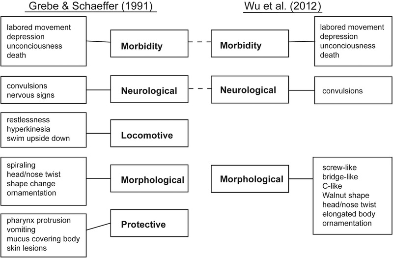 Planarian brain regeneration as a model system for developmental neurotoxicology.