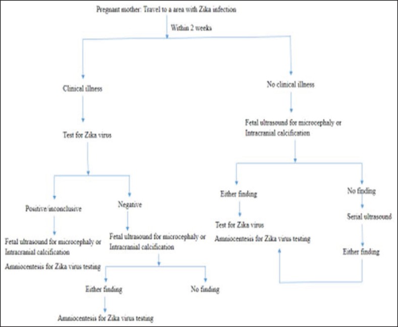 Zika Virus: A Global Threat to Humanity: A Comprehensive Review and Current Developments.