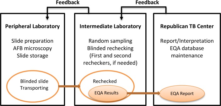 External Quality Assessment of Sputum Smear Microscopy in Tuberculosis Laboratories in Sughd, Tajikistan.