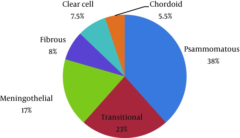 Does Histologic Subtype Influence the Post-Operative Outcome in Spinal Meningioma?