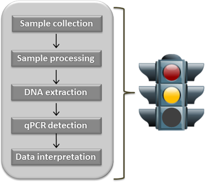 Evaluation of microbial qPCR workflows using engineered Saccharomyces cerevisiae