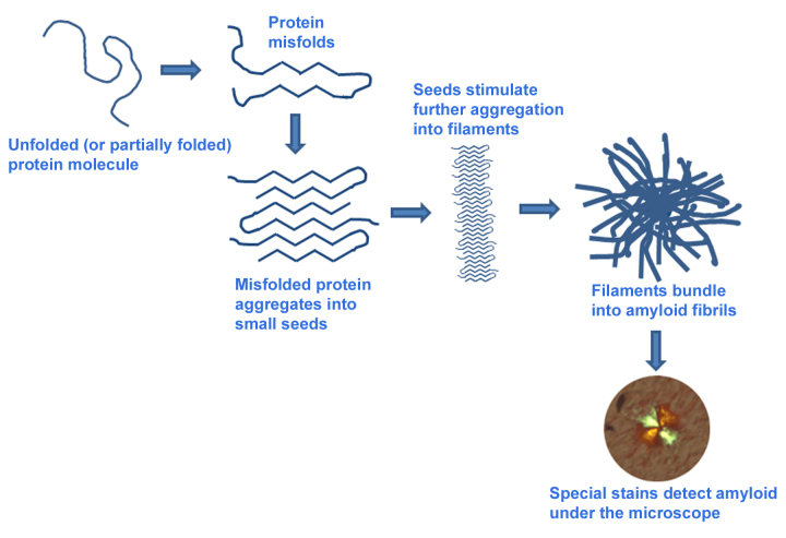 The Malignant Protein Puzzle.