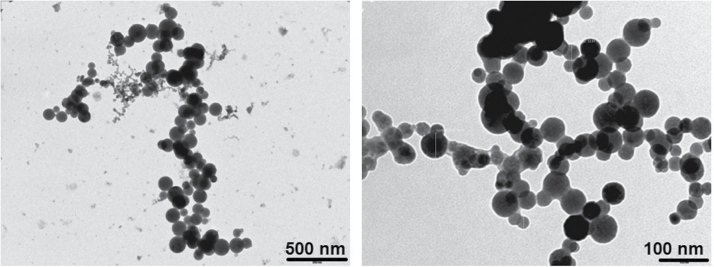 Characterization of Tungsten Inert Gas (TIG) Welding Fume Generated by Apprentice Welders.