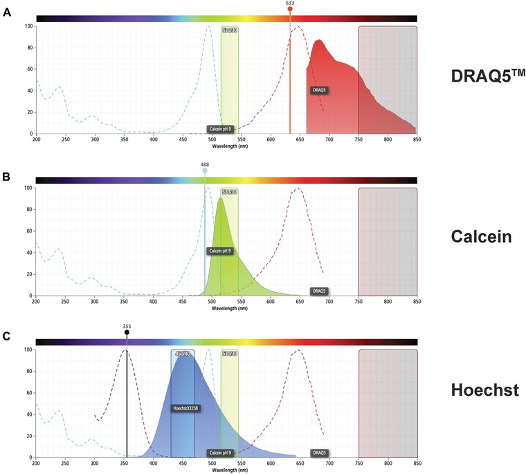 Alternative flow cytometry strategies to analyze stem cells and cell death in planarians.