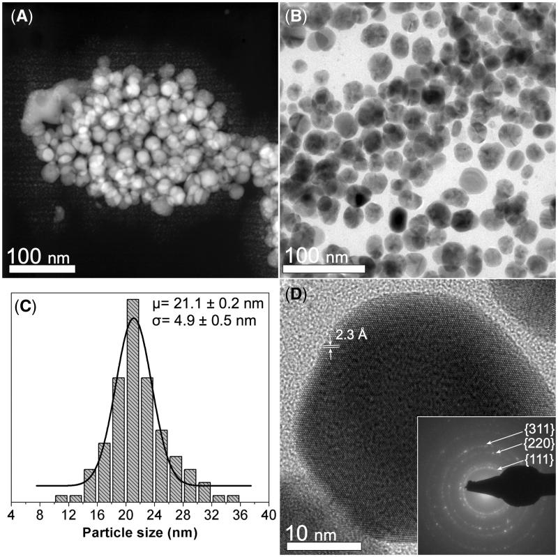 Antimicrobial properties and dental pulp stem cell cytotoxicity using carboxymethyl cellulose-silver nanoparticles deposited on titanium plates.