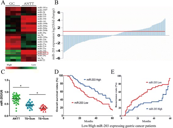 MicroRNA-203 suppresses gastric cancer growth by targeting PIBF1/Akt signaling.