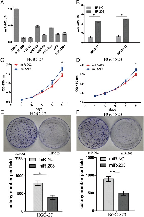 MicroRNA-203 suppresses gastric cancer growth by targeting PIBF1/Akt signaling.