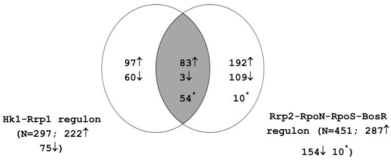 Microarray-Based Comparative Genomic and Transcriptome Analysis of Borrelia burgdorferi.