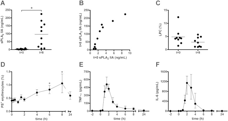 Inflammation-associated changes in lipid composition and the organization of the erythrocyte membrane