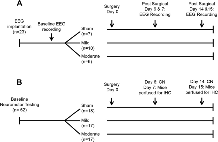 Hypocretinergic and cholinergic contributions to sleep-wake disturbances in a mouse model of traumatic brain injury