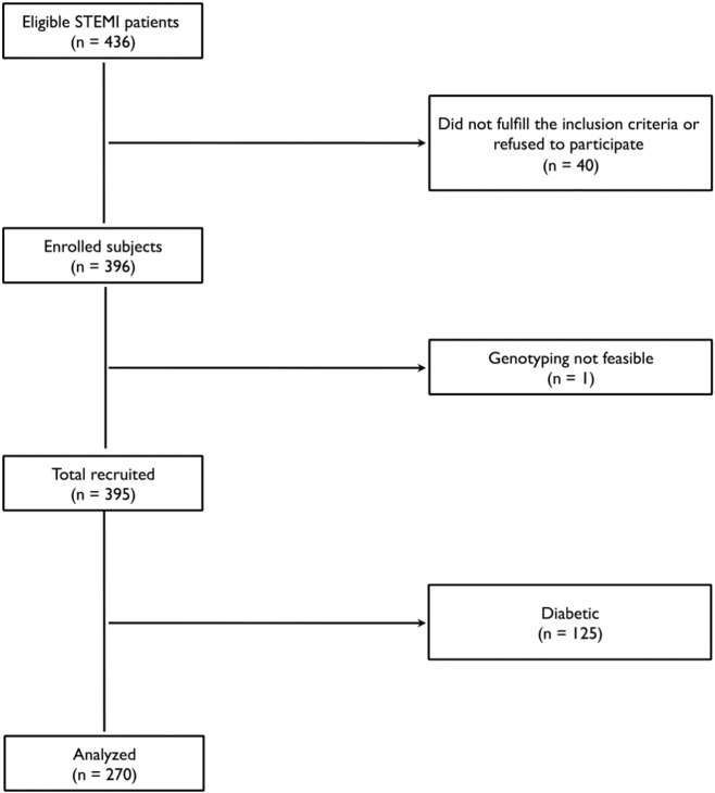 TCF7L2 polymorphism is associated with low nitric oxide release, endothelial dysfunction and enhanced inflammatory response after myocardial infarction