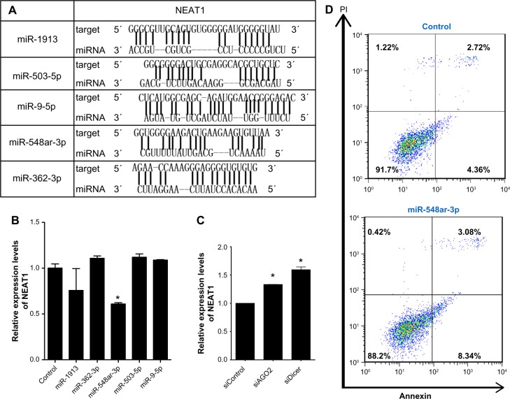 NEAT1 is Required for Survival of Breast Cancer Cells Through FUS and miR-548.