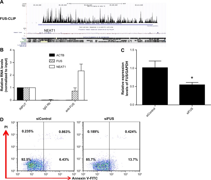 NEAT1 is Required for Survival of Breast Cancer Cells Through FUS and miR-548.