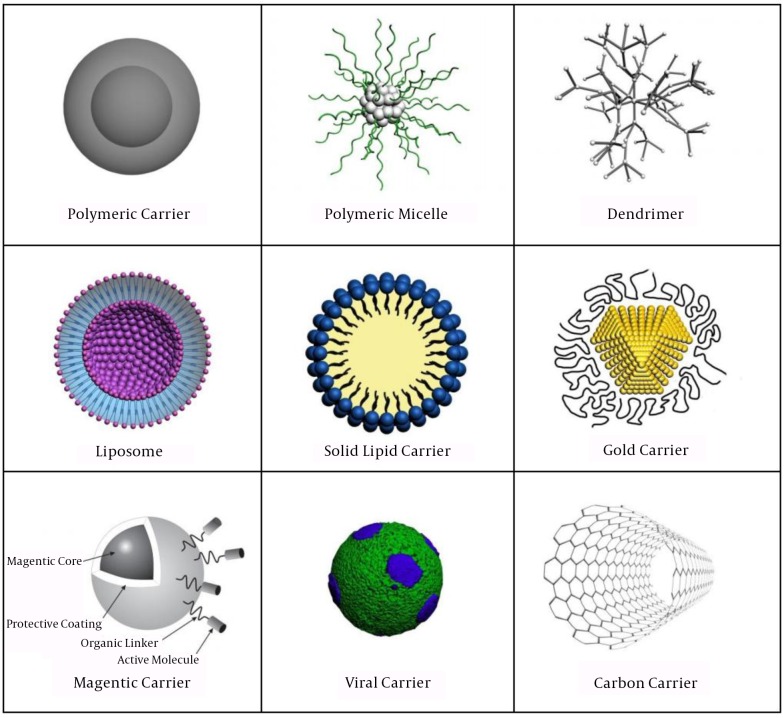 Nanocarriers Usage for Drug Delivery in Cancer Therapy.