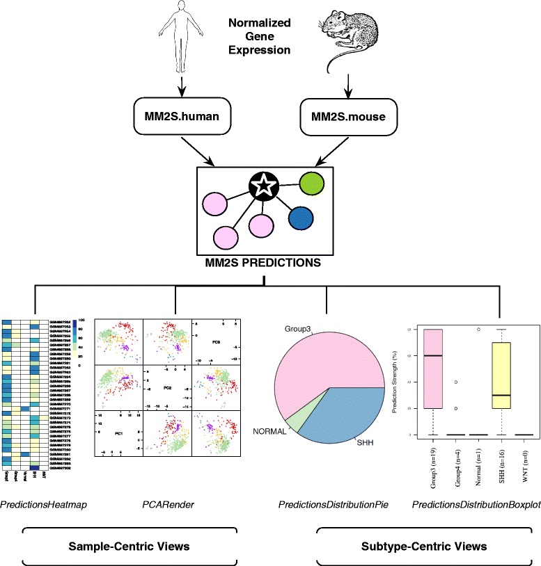 MM2S: personalized diagnosis of medulloblastoma patients and model systems.