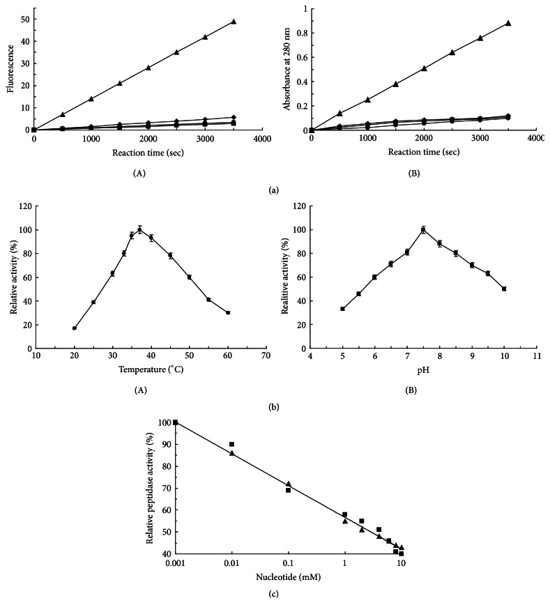 Characterization of the ATP-Dependent Lon-Like Protease in Methanobrevibacter smithii.