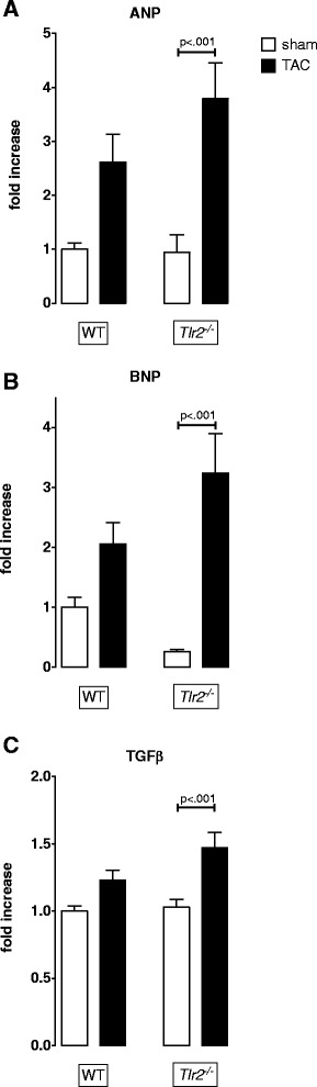 Tlr2 deficiency does not limit the development of left ventricular hypertrophy in a model of transverse aortic constriction induced pressure overload.