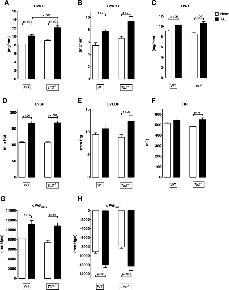 Tlr2 deficiency does not limit the development of left ventricular hypertrophy in a model of transverse aortic constriction induced pressure overload.