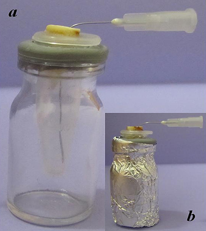 Reciproc versus Twisted file for root canal filling removal: assessment of apically extruded debris.