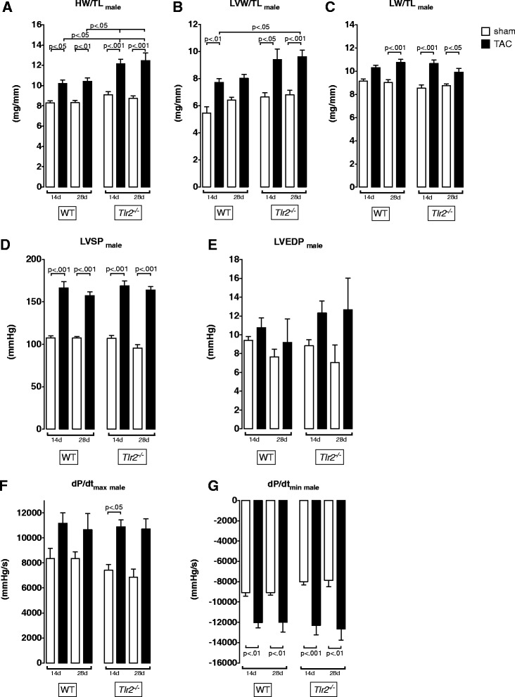 Tlr2 deficiency does not limit the development of left ventricular hypertrophy in a model of transverse aortic constriction induced pressure overload.