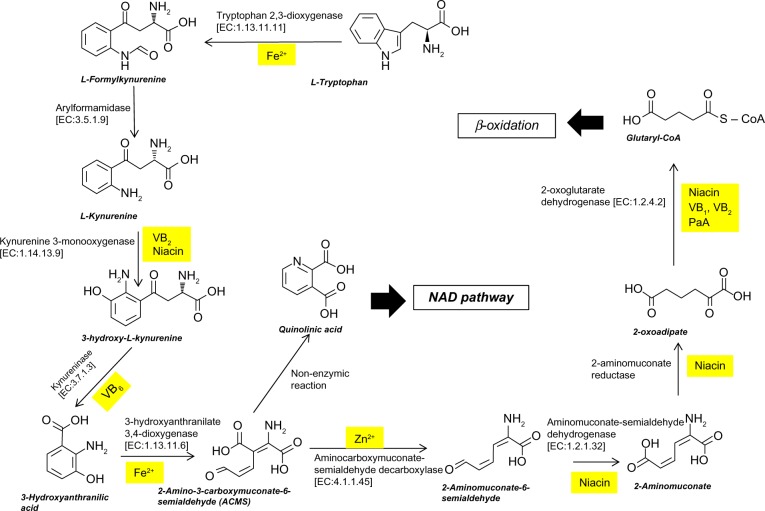 Organ Correlation with Tryptophan Metabolism Obtained by Analyses of TDO-KO and QPRT-KO Mice.