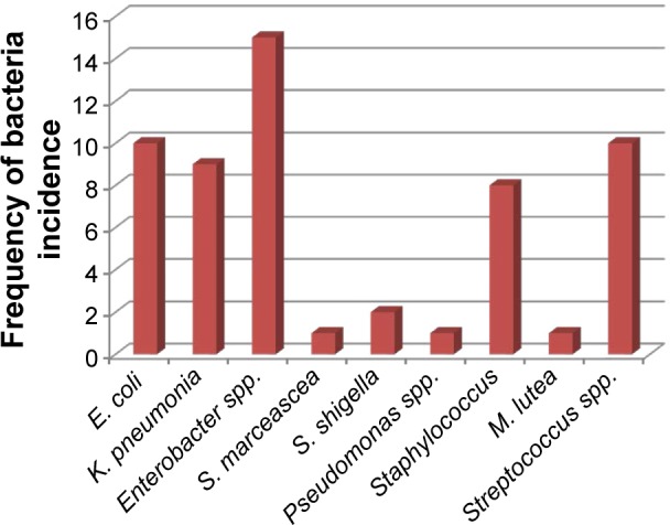 Microbial Diversity in the Gut of Cashew Stem Girdler, Analeptes trifasciata Fabricius (Coleoptera: Cerambycidae), in Ibadan, Nigeria.