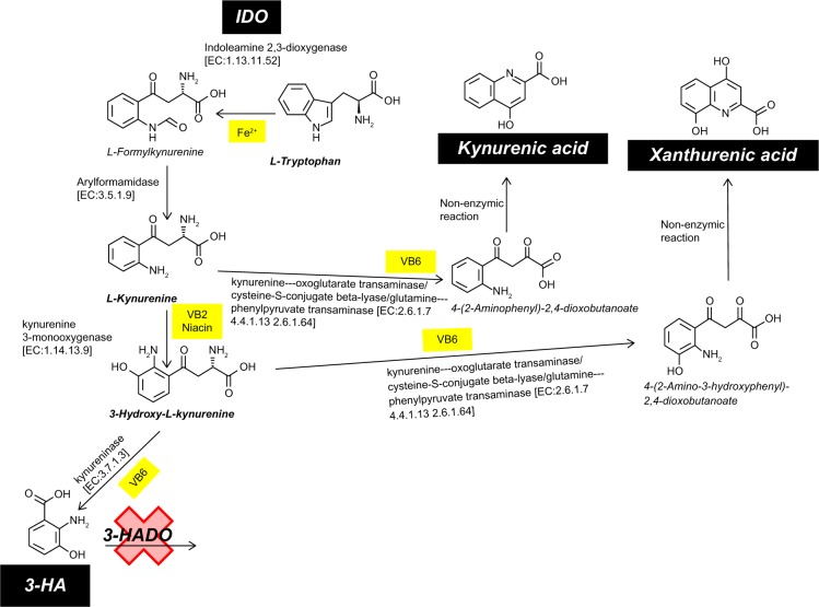 Organ Correlation with Tryptophan Metabolism Obtained by Analyses of TDO-KO and QPRT-KO Mice.