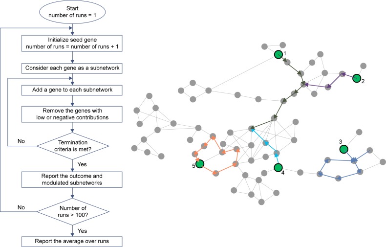 Network-Based Enriched Gene Subnetwork Identification: A Game-Theoretic Approach.