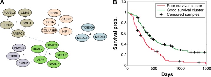 Network-Based Enriched Gene Subnetwork Identification: A Game-Theoretic Approach.