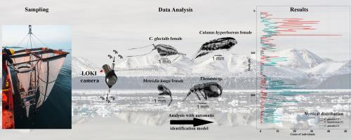 The LOKI underwater imaging system and an automatic identification model for the detection of zooplankton taxa in the Arctic Ocean