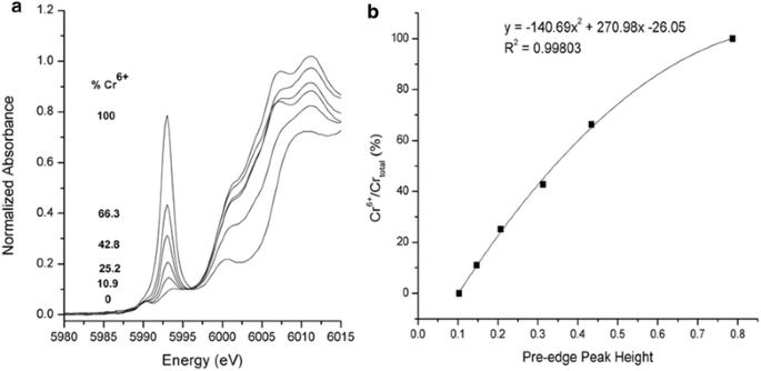 Effects of common groundwater ions on chromate removal by magnetite: importance of chromate adsorption