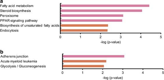 Molecular hydrogen stimulates the gene expression of transcriptional coactivator PGC-1α to enhance fatty acid metabolism