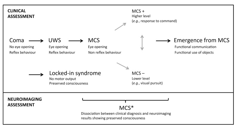 The Role of Neuroimaging Techniques in Establishing Diagnosis, Prognosis and Therapy in Disorders of Consciousness.