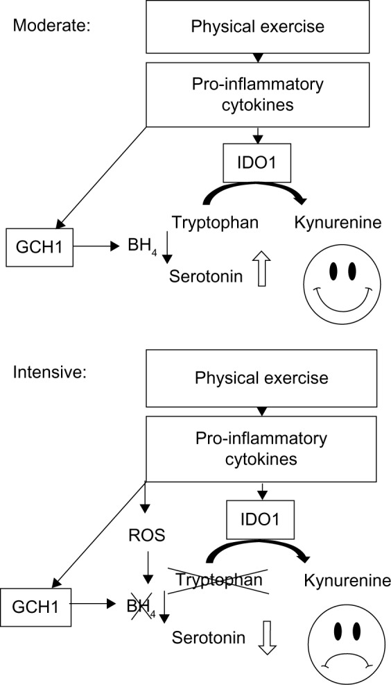 Diet Versus Exercise in Weight Loss and Maintenance: Focus on Tryptophan.