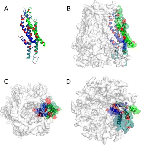 Connexinopathies: a structural and functional glimpse.