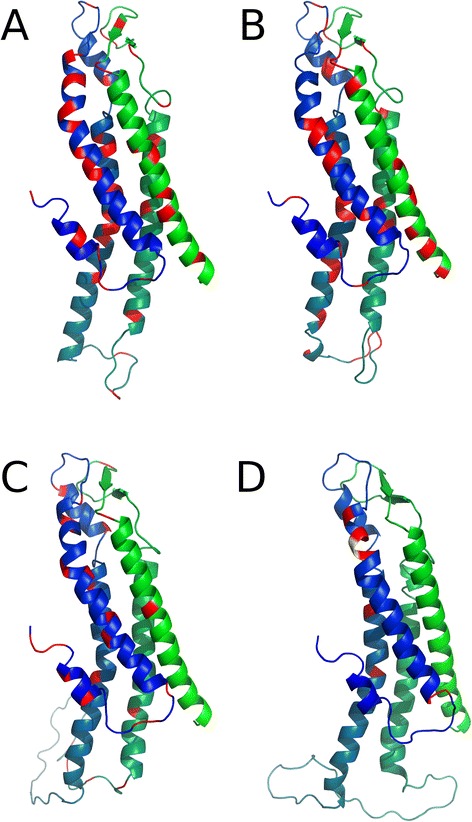 Connexinopathies: a structural and functional glimpse.