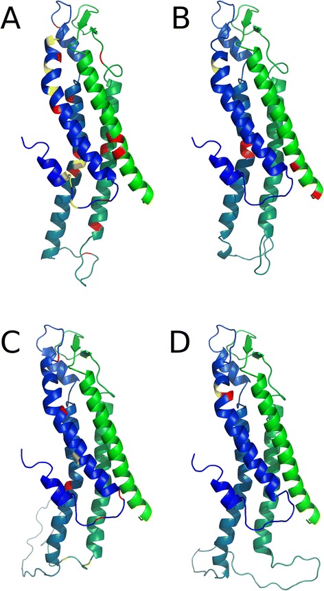 Connexinopathies: a structural and functional glimpse.