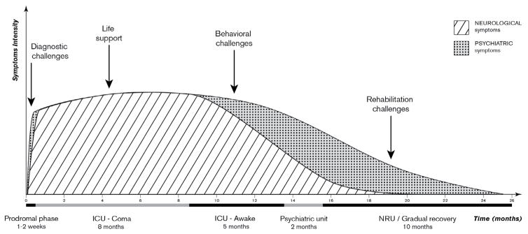 Anti-N-Methyl-D-Aspartate Receptor Encephalitis: A New Challenging Entity for Consultation-Liaison Psychiatrist.