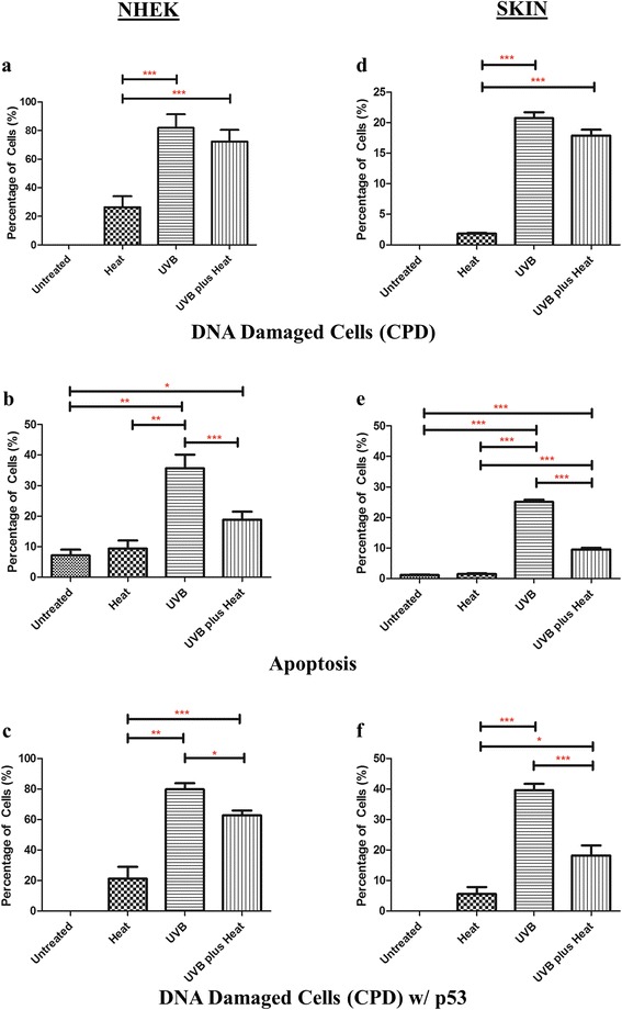 Heat-mediated reduction of apoptosis in UVB-damaged keratinocytes in vitro and in human skin ex vivo.