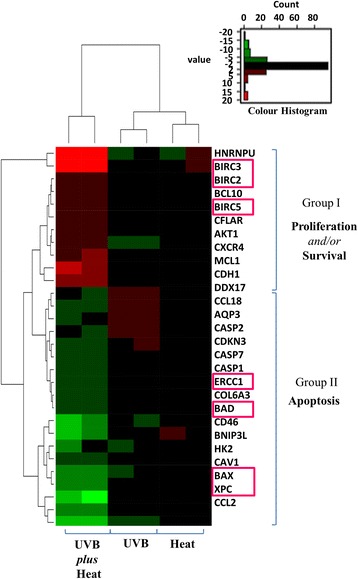 Heat-mediated reduction of apoptosis in UVB-damaged keratinocytes in vitro and in human skin ex vivo.