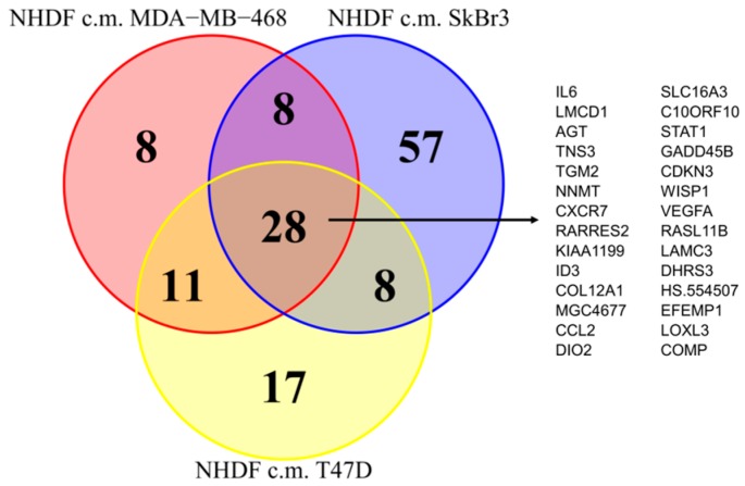 Stromal Activation by Tumor Cells: An in Vitro Study in Breast Cancer.