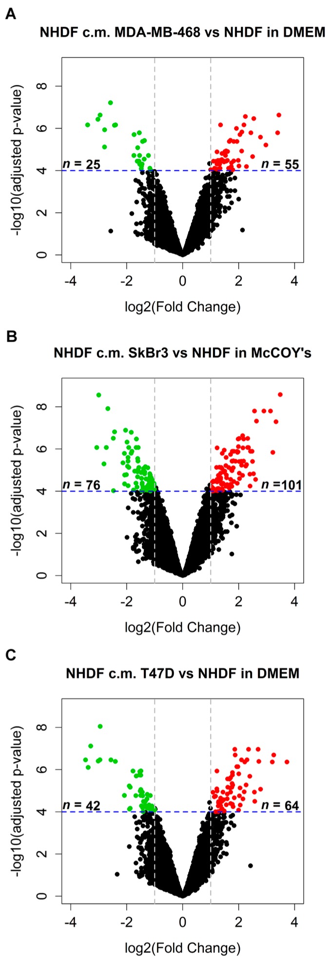 Stromal Activation by Tumor Cells: An in Vitro Study in Breast Cancer.