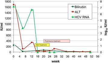 A case of erythrodermia from exacerbated psoriasis vulgaris due to treatment of acute hepatitis C.