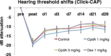 Noise trauma and systemic application of the selective glucocorticoid receptor modulator compound A.