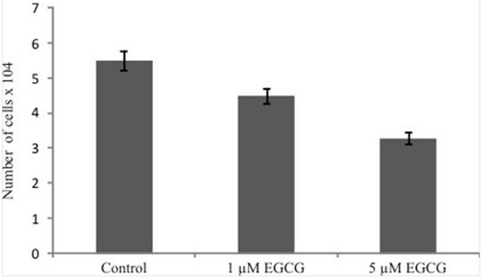 Epigallocatechin Gallate Inhibits Mouse Mesenchymal Stem Cell Differentiation to Adipogenic Lineage.