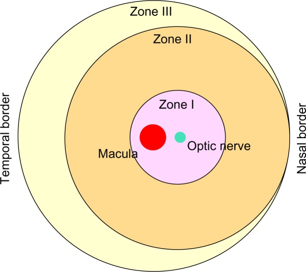 Promoting vascular repair in the retina: can stem/progenitor cells help?