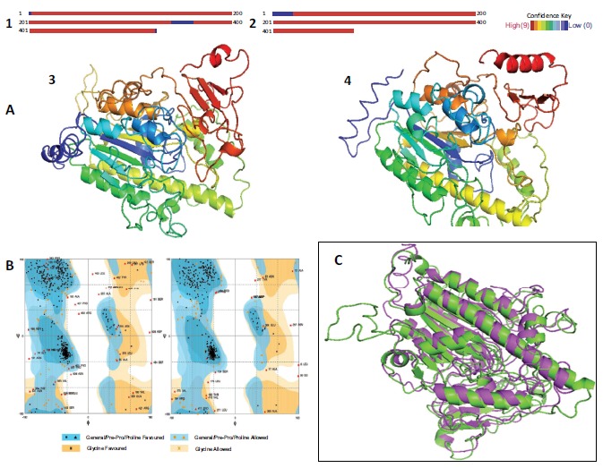 Bioinformatic Analysis of the Human Recombinant Iduronate 2-Sulfate Sulfatase.