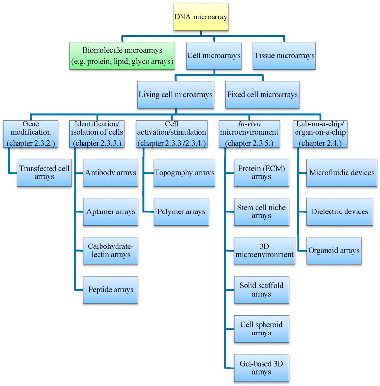 Living Cell Microarrays: An Overview of Concepts.