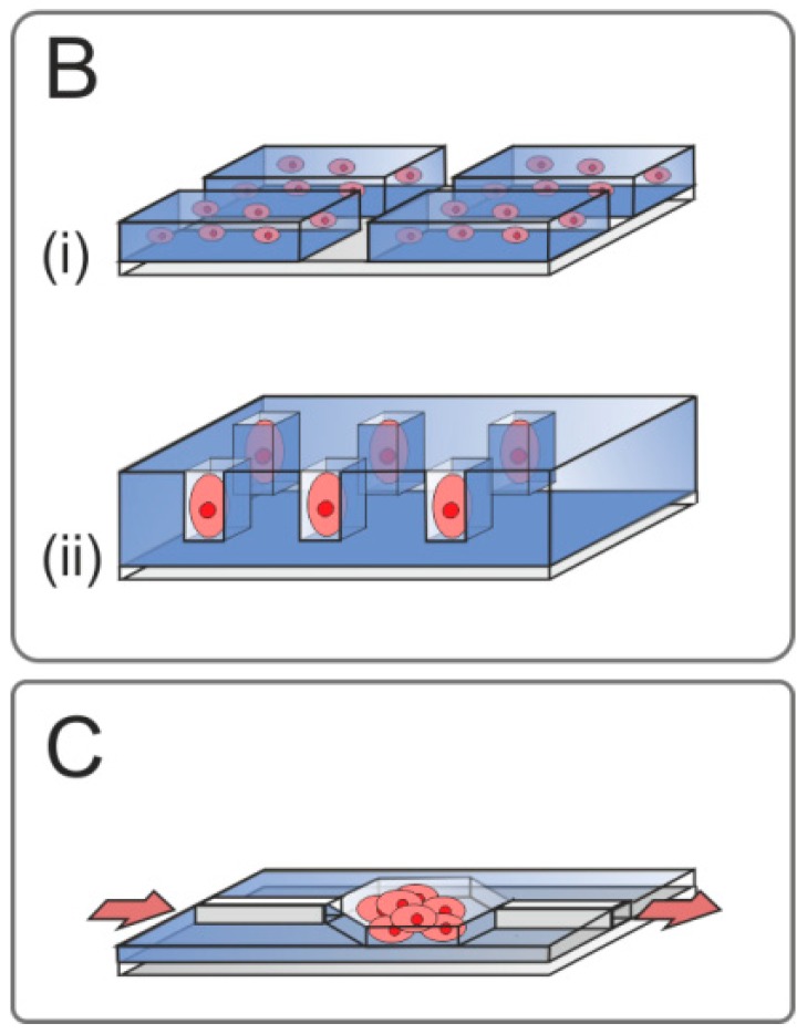 Living Cell Microarrays: An Overview of Concepts.