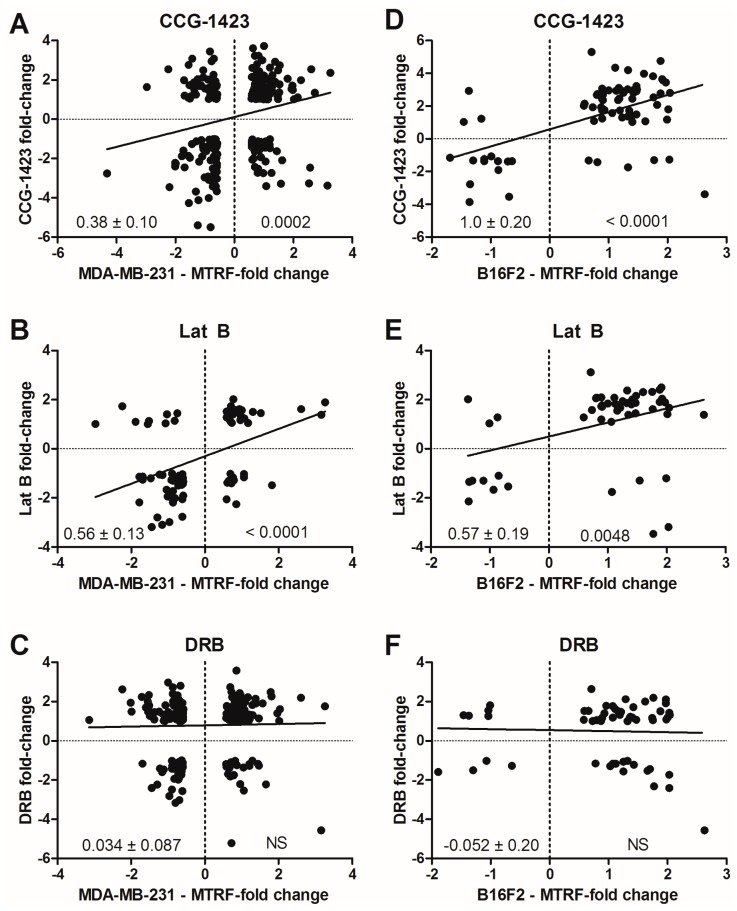 Small-Molecule Inhibition of Rho/MKL/SRF Transcription in Prostate Cancer Cells: Modulation of Cell Cycle, ER Stress, and Metastasis Gene Networks.